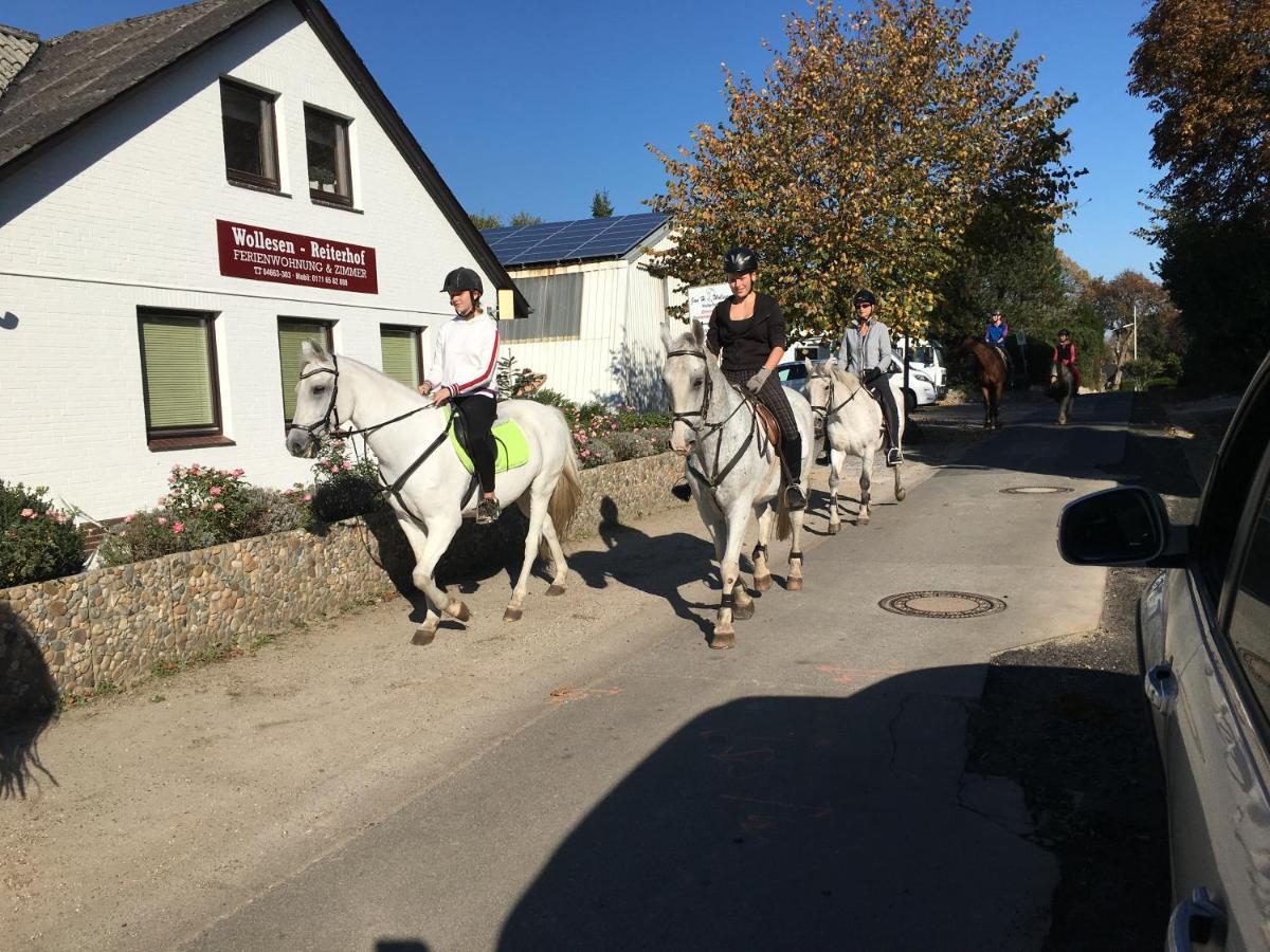 Reiterhof Wollesen Hotell Süderlügum Exteriör bild